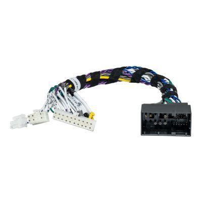 Cablaje conectare amplificatoare dedicate