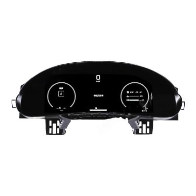 Ceasuri electronice digitale FULL HD Porsche Cayenne 2002-2009