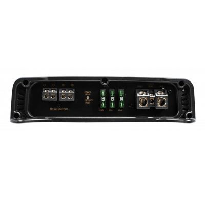 Amplificatoare Phoenix Gold  RX21000.1 1 x 1000 watts, în 1, 2 sau 4 Ohm, clasa D, 1 canal